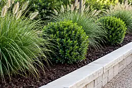 A planted bed of ornamental grasses and clipped boxwood balls behind a low stone wall